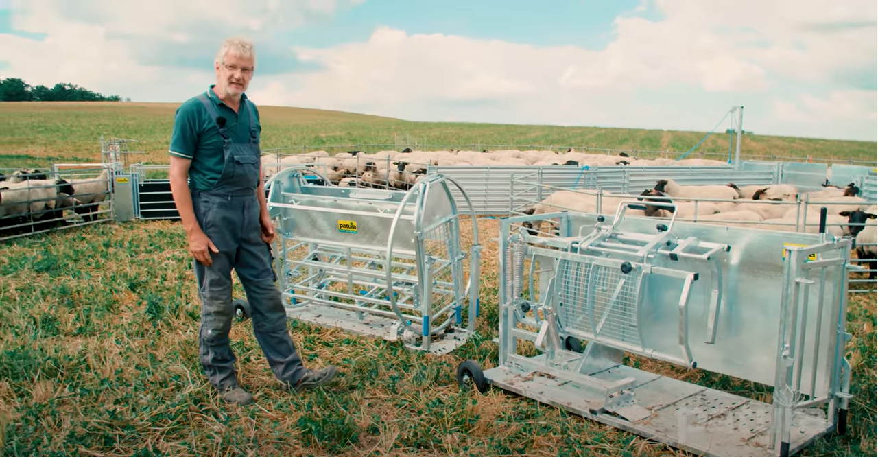 Optimale Klauenpflege für Schafe und Ziegen 